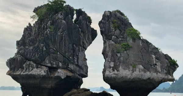 ¿Qué dicen los expertos sobre el riesgo de deslizamientos de tierra en Hon Trong Mai en la bahía de Ha Long?