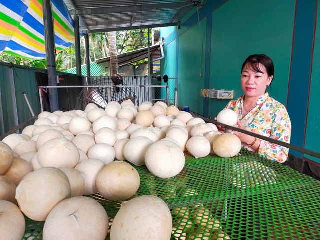 Mô hình kinh tế của phụ nữ được hưởng ưu đãi từ nguồn vốn của Quỹ Ảnh: Hồ Bích Hạnh