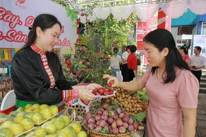 Mận hậu Sơn La được nhiều khách hàng quan tâm và thưởng thức. 