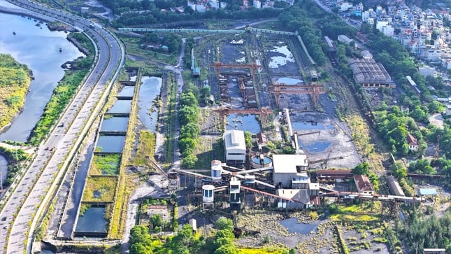 Le terrain « doré » pour construire un hôpital de 4 200 milliards est bloqué dans le défrichement à Quang Ninh photo 13