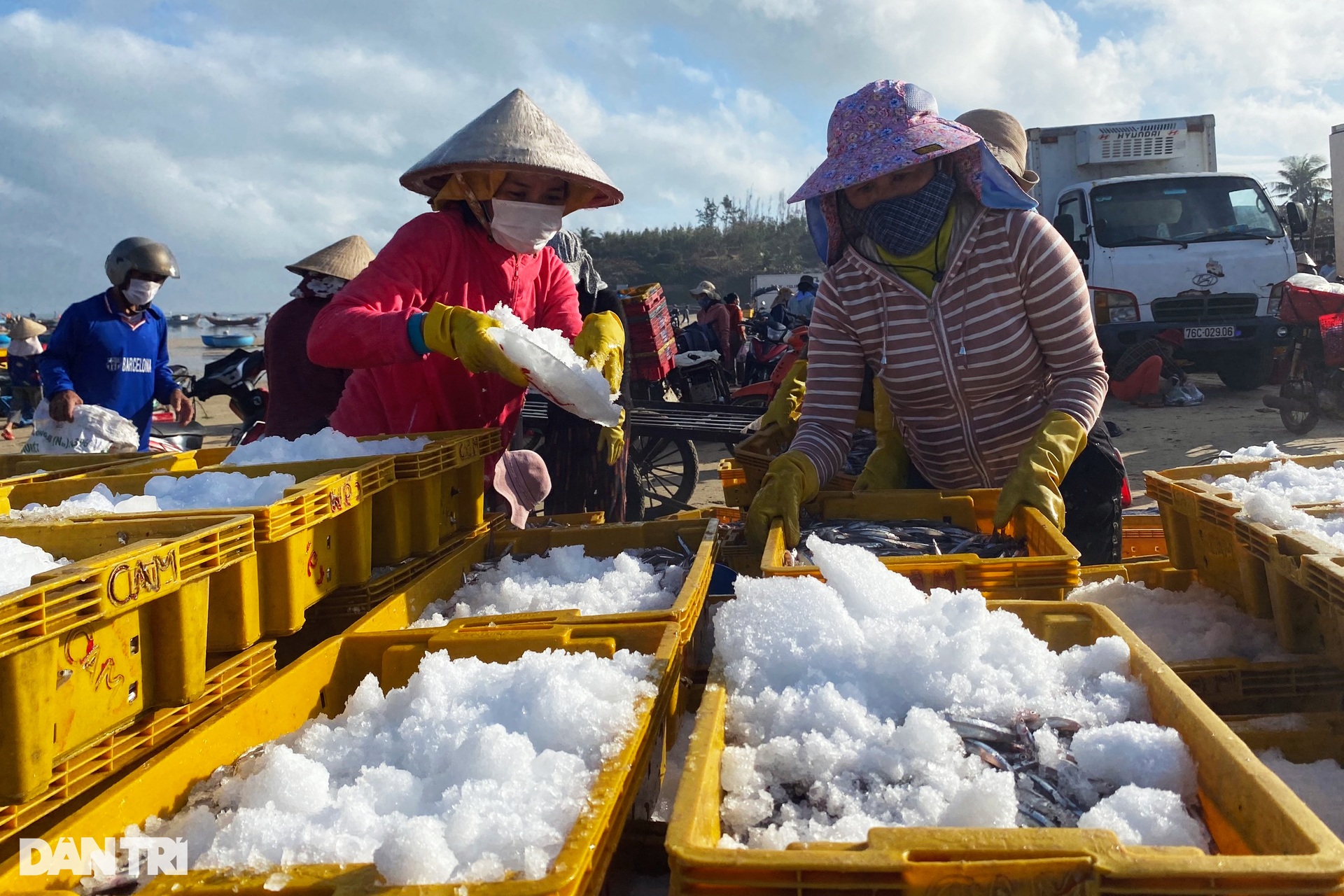 Chợ cá nơi nghĩa địa tàu cổ - 9