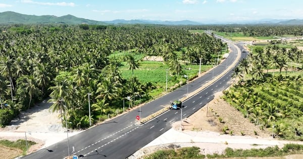 Bình Định khánh thành tuyến đường trăm tỷ, kết nối cao tốc Bắc