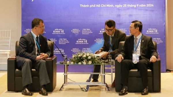 Ho Chi Minh City and Shenyang City (China) agreed to cooperate in potential fields.