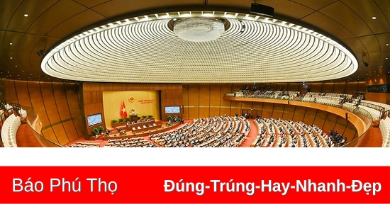 Thảo luận dự án Luật Lực lượng tham gia bảo vệ an ninh, trật tự ở cơ sở