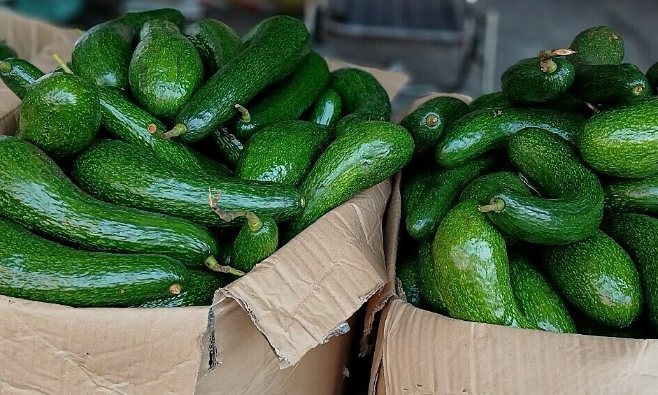 Lam Dong avocado specialty price drops sharply