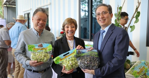 Delegation of US agricultural businesses visits Klever Fruit