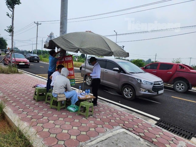 Primer plano de un terreno en un distrito suburbano de Hanoi que acaba de ser subastado, los corredores informaron una diferencia de 600 millones de VND/lote foto 5