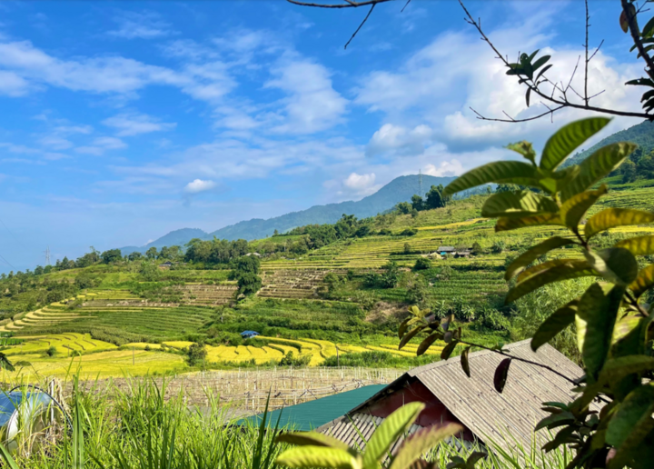 Ruộng bậc thang là một phần không thể thiếu trong đời sống lao động của người Mông.