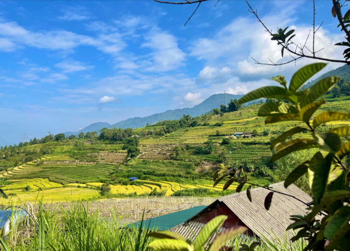 Terraced fields are an indispensable part of the Mong people's working life.