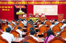 Provincial Party Secretary Ho Van Nien: Determined to successfully implement the set goals and tasks