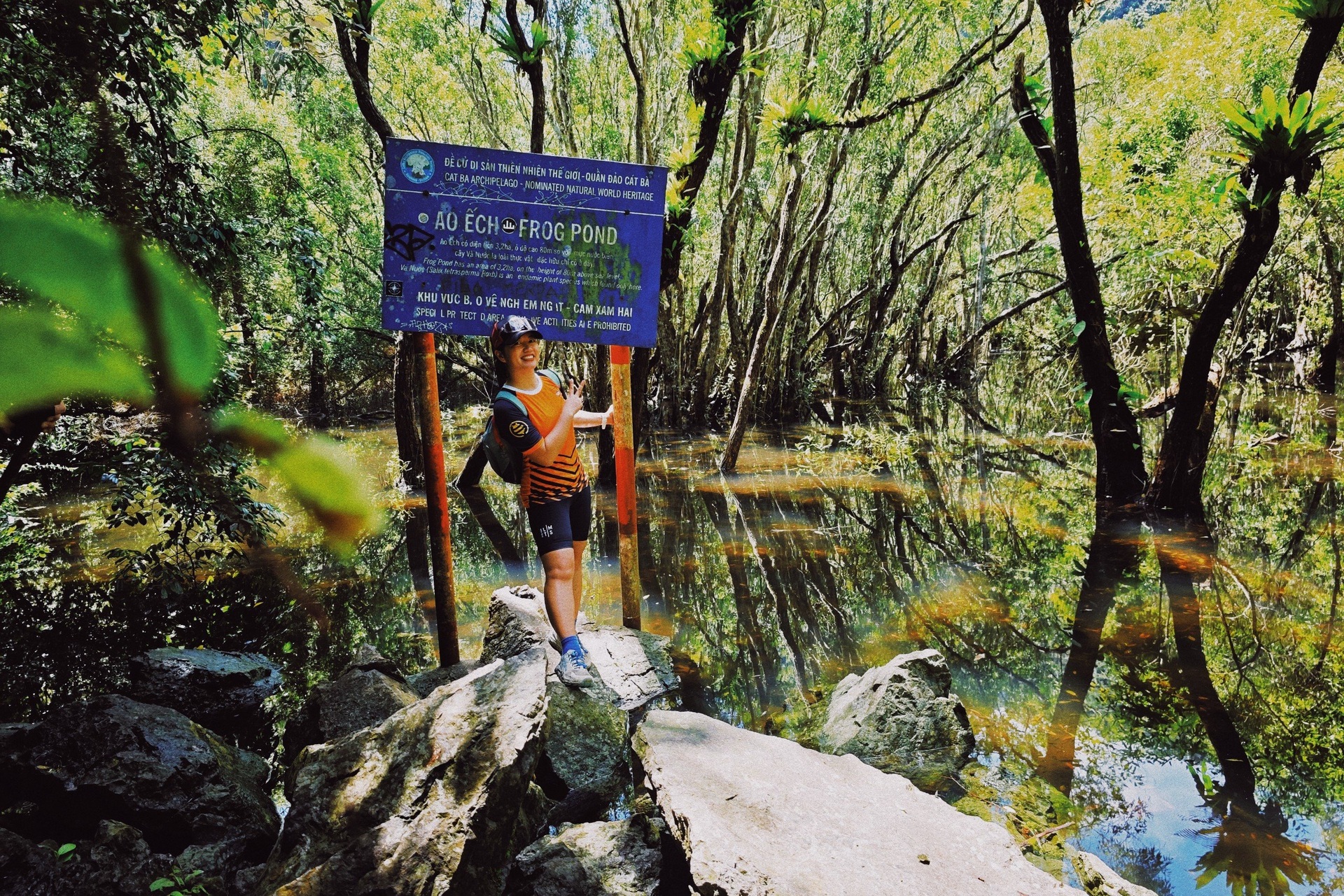 Cung đường trekking dài 9km vào rừng nguyên sinh đẹp bình yên ở Hải Phòng - 4