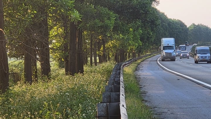 Image de 100 000 arbres abattus des deux côtés de l'autoroute Cau Gie Ninh Binh