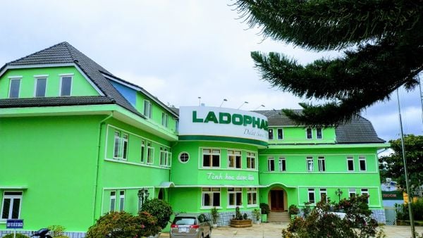 With an accumulated loss of 59 billion VND, Ladophar (LDP) was named again by the Lam Dong Provincial Tax Department.