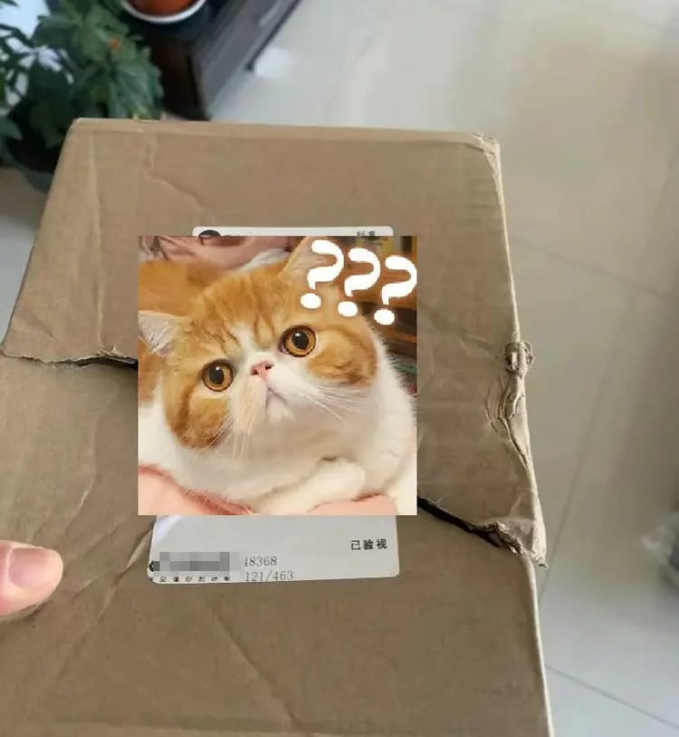 Bị mất đơn hàng giá trị hơn 200 triệu đồng, người phụ nữ lên mạng "bóc phốt", công ty vận chuyển tá hỏa khi biết thân phận của khách hàng - Ảnh 3.