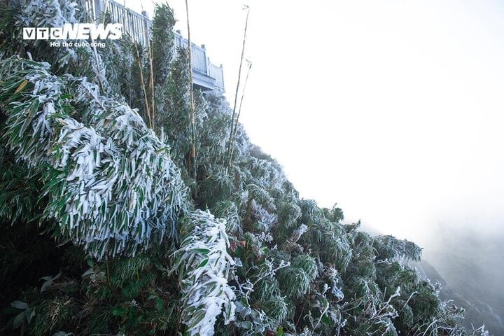 La température la plus basse dans le Nord pendant cette période de froid est généralement de 7 à 10 degrés Celsius, dans les zones montagneuses du Nord, elle est de 3 à 6 degrés Celsius et dans certaines zones de haute montagne, elle est inférieure à 0 degré Celsius.