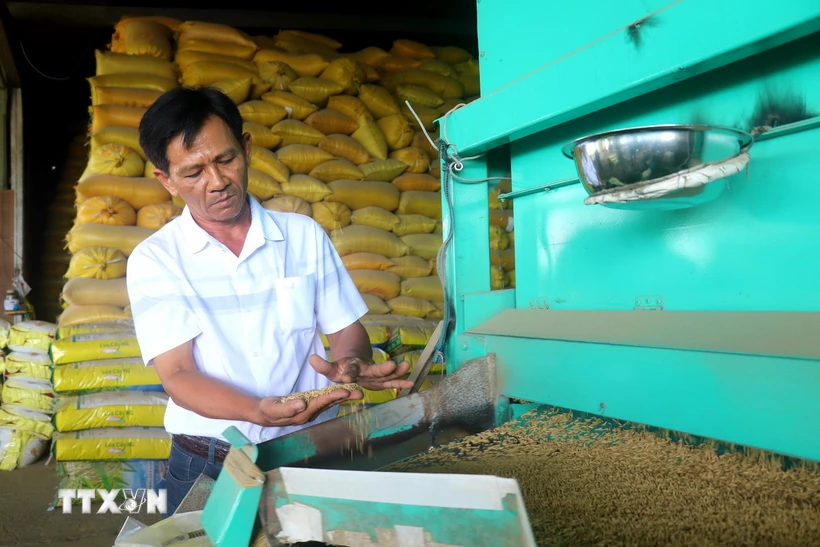 Can Tho: "Rice Seed Billionaire" is twice an Outstanding Vietnamese Farmer