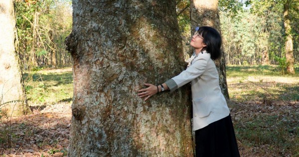 Admire the 'treasure' hidden for more than a century in Dong Nai