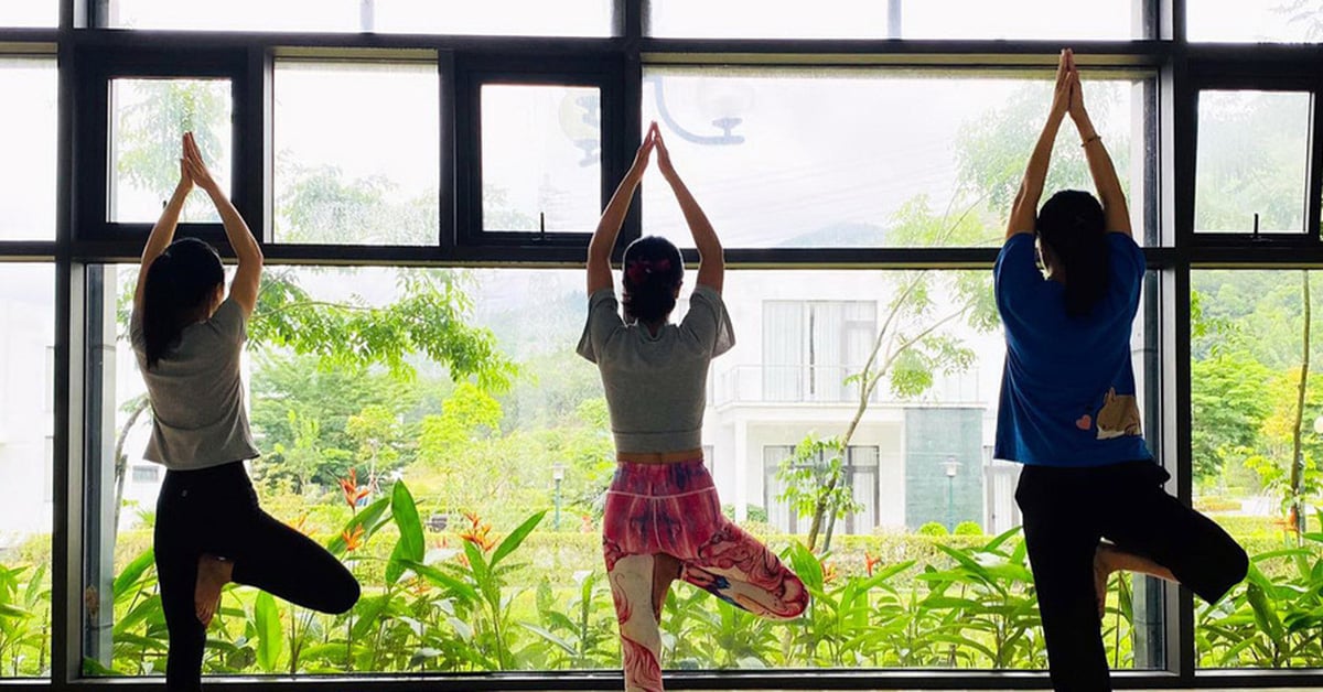 Pratiquez le yoga, après la séance si vous vous sentez rafraîchi alors vous avez pratiqué correctement, sinon...