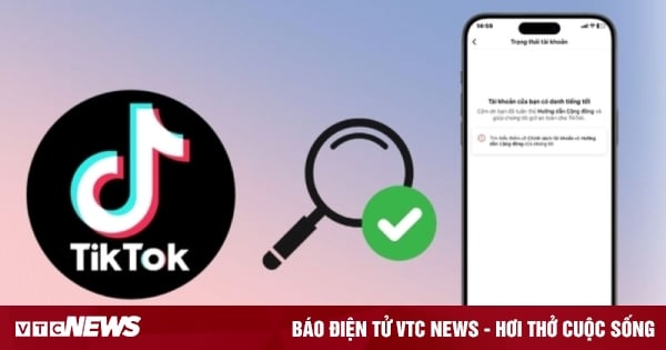 Cómo comprobar si hay infracciones en TikTok usando tu teléfono