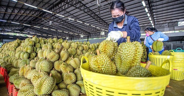 การส่งออกสินค้าเกษตรใน 6 เดือนมีมูลค่ากว่า 29,000 ล้านเหรียญสหรัฐฯ โดยมีผลิตภัณฑ์ส่งออก 7 รายการมีมูลค่าถึงพันล้านเหรียญสหรัฐฯ