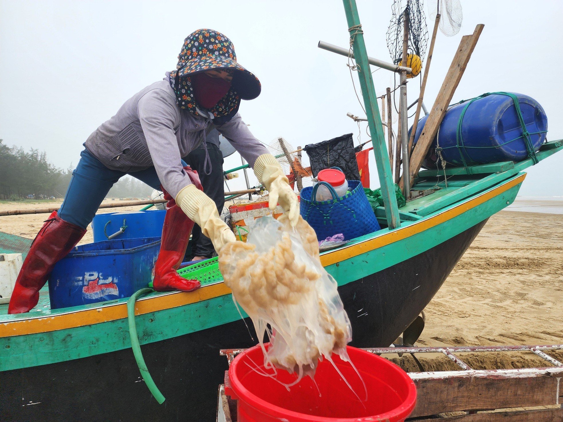 អ្នកនេសាទ Ha Tinh ក្នុងរដូវប្រមូលផលចាហួយ រកចំណូលបានរាប់លានដុងជារៀងរាល់ថ្ងៃ រូបថត ៥