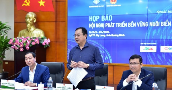 Quang Ninh anunciará una zona de "mar limpio" para atraer empresas a invertir en cultivos marinos.