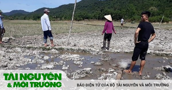 Nghệ An tích cực ứng phó với hạn hán, xâm nhập mặn