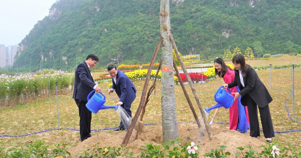 ダナン市人民委員会委員長が特別国家遺跡グ・ハン・ソンで植樹祭を開始