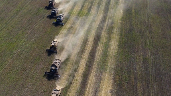 Los agricultores rumanos proponen incluir los productos agrícolas ucranianos, el grano de Kiev vuelve a tener "nombre"