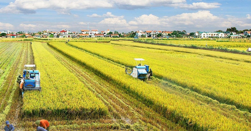 Thai Binh deviendra un centre de production agricole de premier plan d'ici 2030