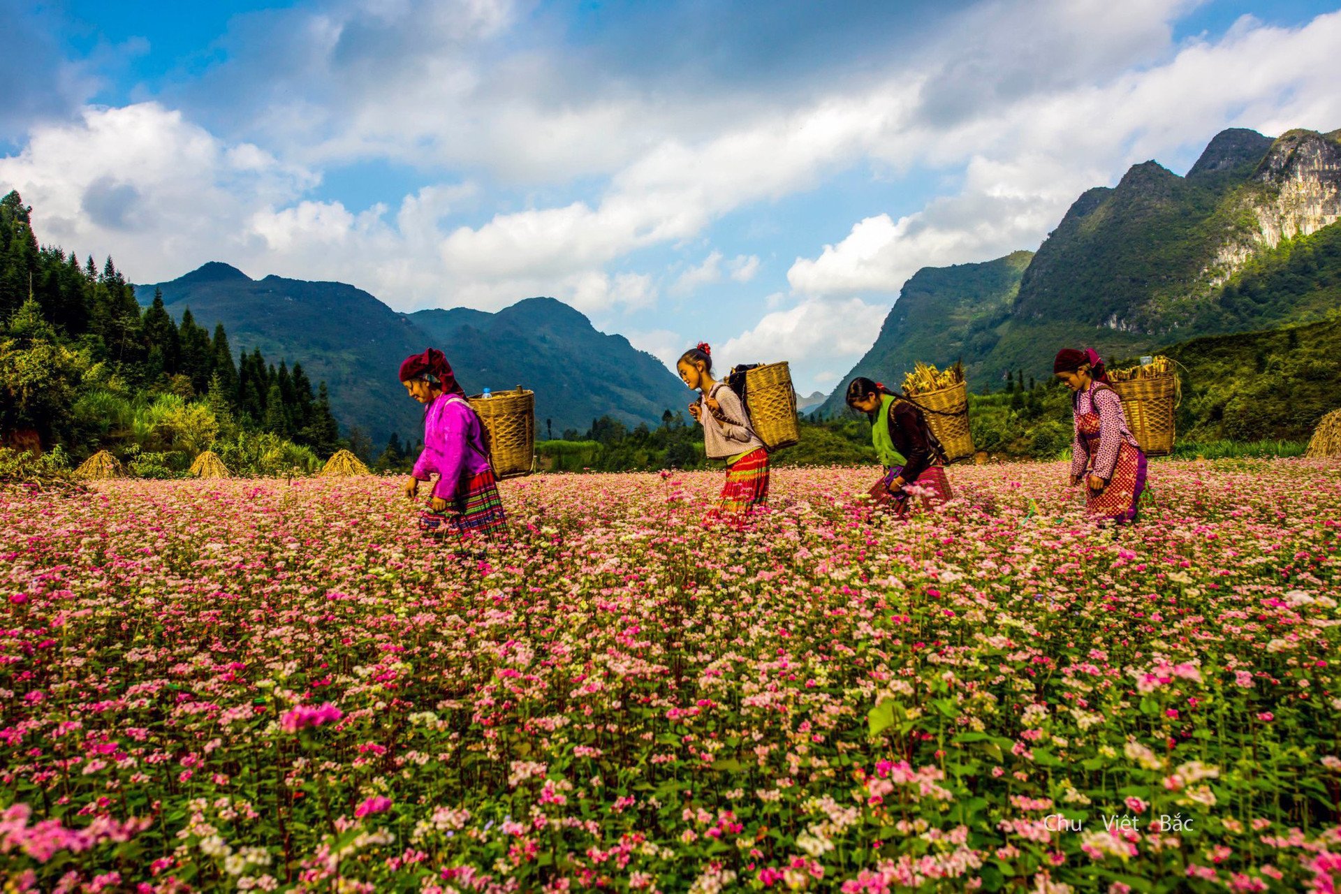 Xây dựng thương hiệu du lịch Hà Giang là điểm đến an toàn, hấp dẫn, đặc sắc- Ảnh 1.