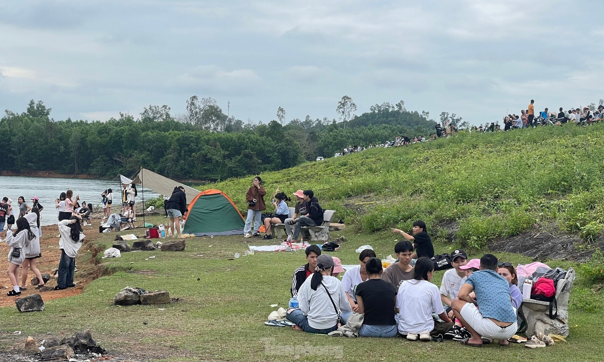 Les jeunes se rassemblent pour prendre des photos à côté de « l'arbre solitaire » à Quang Nam, photo 14