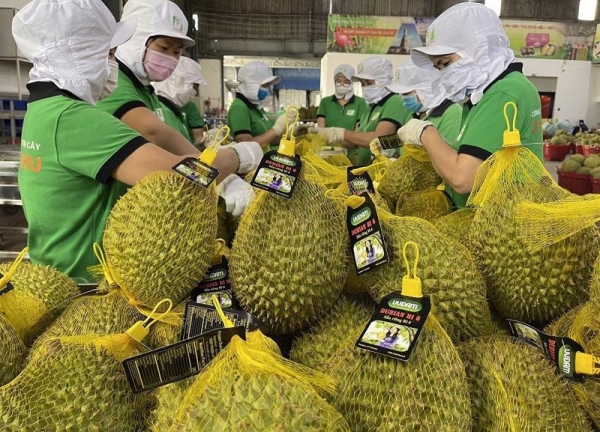 The largest market for Vietnamese fruits and vegetables