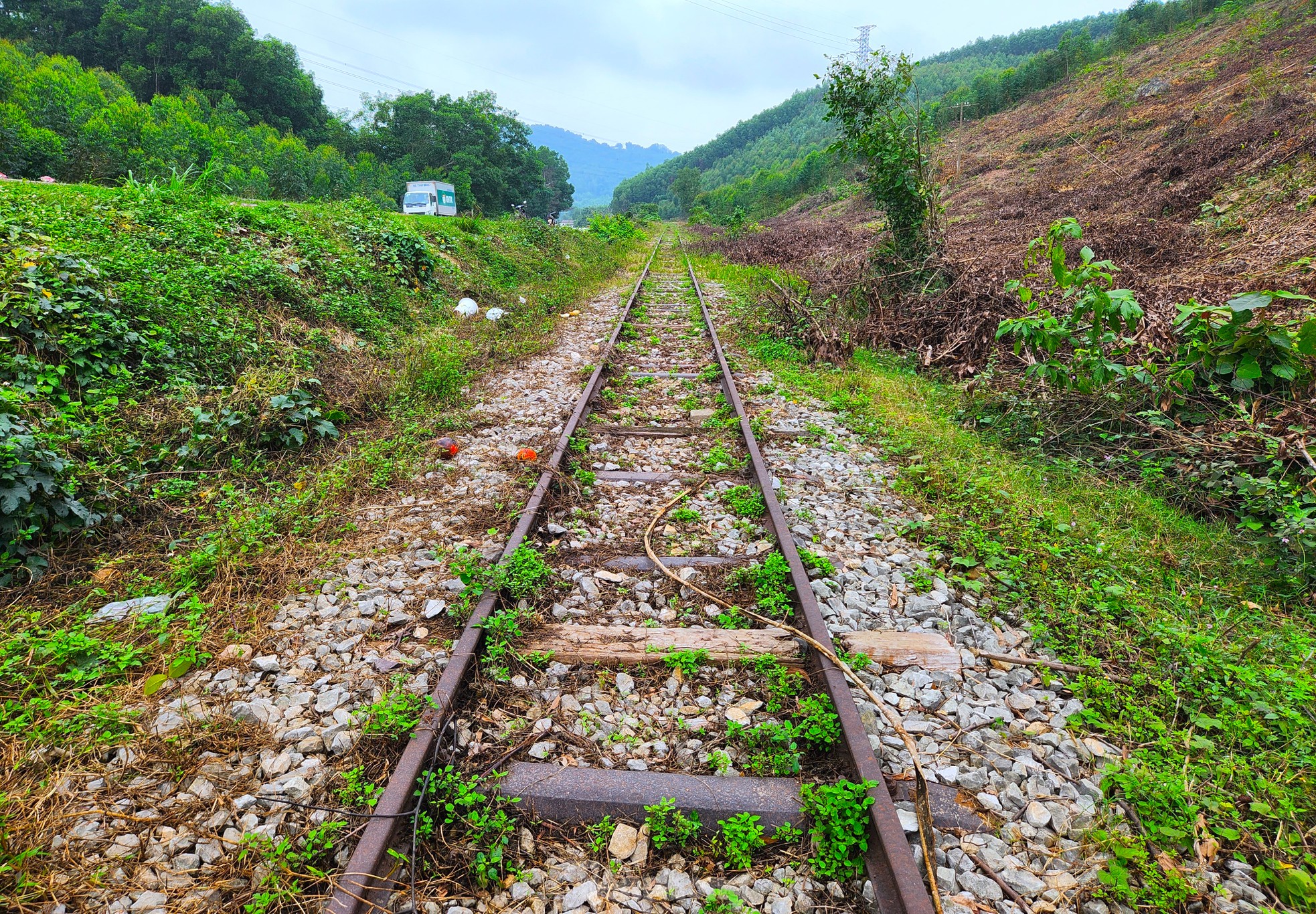 The desolation of the 'abandoned' railway line in Nghe An photo 15