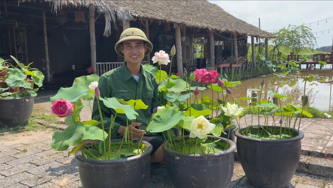 Về quê trồng sen, nam cử nhân kiếm lợi nhuận khủng nhờ mắc bệnh liều - 1