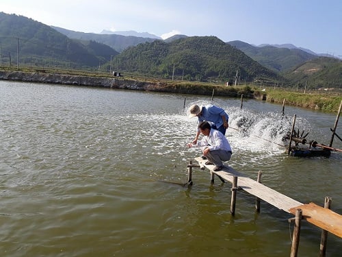 Le programme vise à mobiliser toutes les ressources pour soutenir et créer les conditions de développement des moyens de subsistance des populations des bassins des réservoirs hydroélectriques, contribuant ainsi à la mise en œuvre réussie de l’objectif de réduction durable de la pauvreté dans la région.