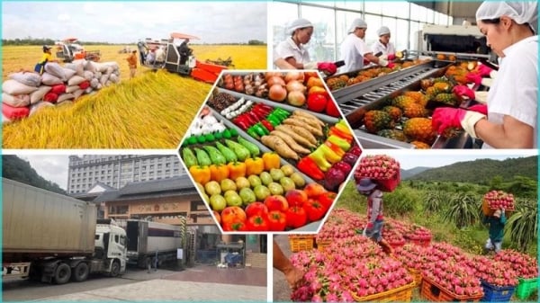 Agricultural products are the most in-demand products in China.