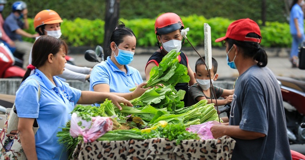 TP.HCM kêu gọi các doanh nghiệp tham gia tuyển dụng lao động bị mất việc làm