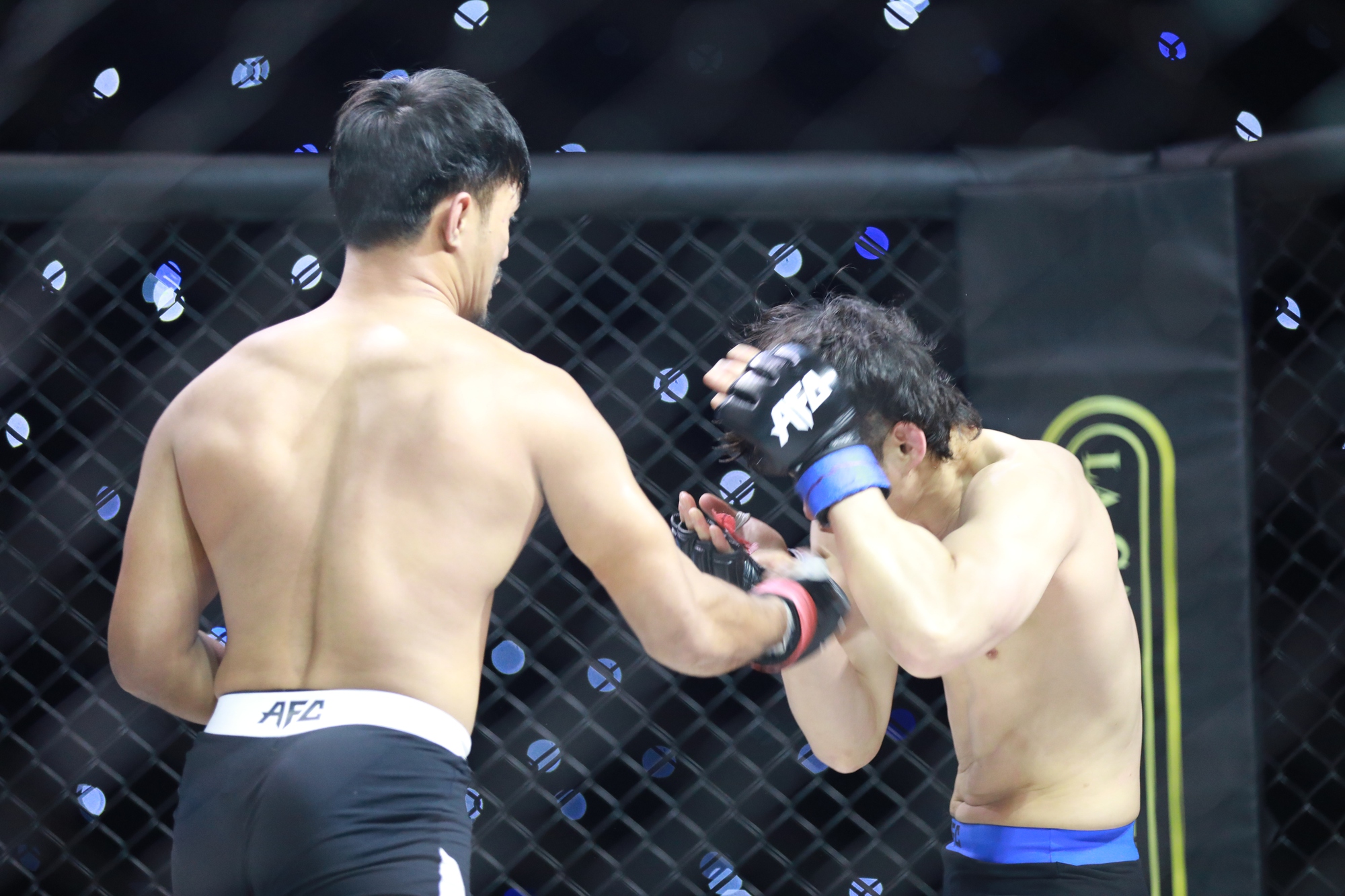 Robson Oliveira thắng knock-out đẳng cấp tại sự kiện MMA AFC 25 - Ảnh 10.
