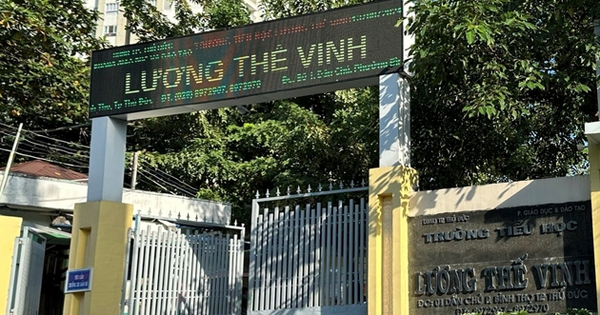 Requesting Luong The Vinh Primary School to rectify revenue and expenditure work