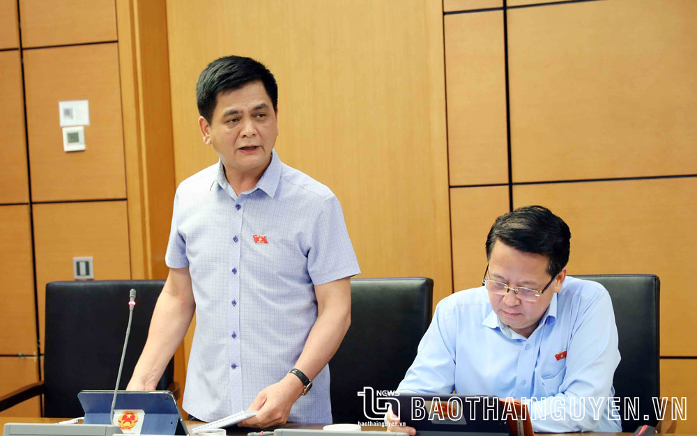 Đại biểu Nguyễn Lâm Thành (Đoàn Thái Nguyên) phát biểu thảo luận.