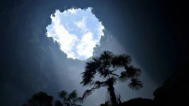 Seltsame „paradiesische“ Wälder unter großen Dolinen in China, Foto 1