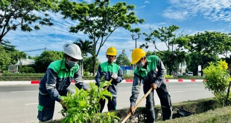 Một công ty công viên cây xanh chuẩn bị lộ trình thoái sạch vốn Nhà nước