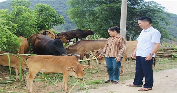 សឺន ឡា៖ លើកកំពស់តួនាទីជាជនមានកិត្យានុភាពនៅតំបន់ខ្ពង់រាបបាកយ៉េន