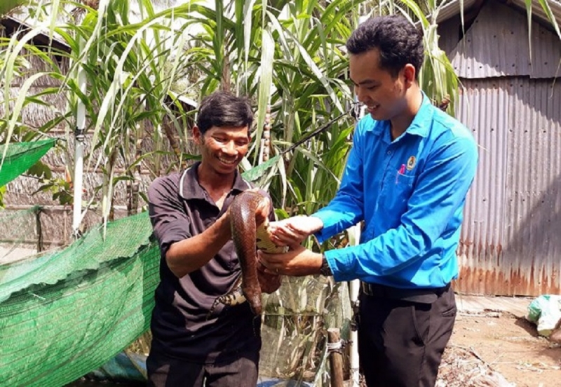 El Sr. Thach Chanh Do Ra, del grupo étnico Khmer (Chau Thanh, Soc Trang), ha tenido éxito con el modelo de agricultura integrada.