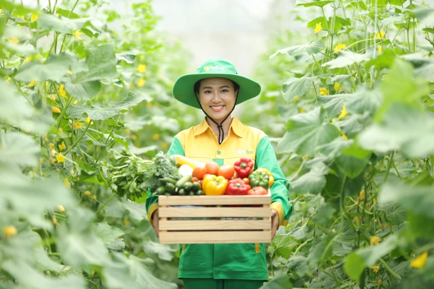 Masan 2024: reaping 'sweet fruit', accelerating retail expansion