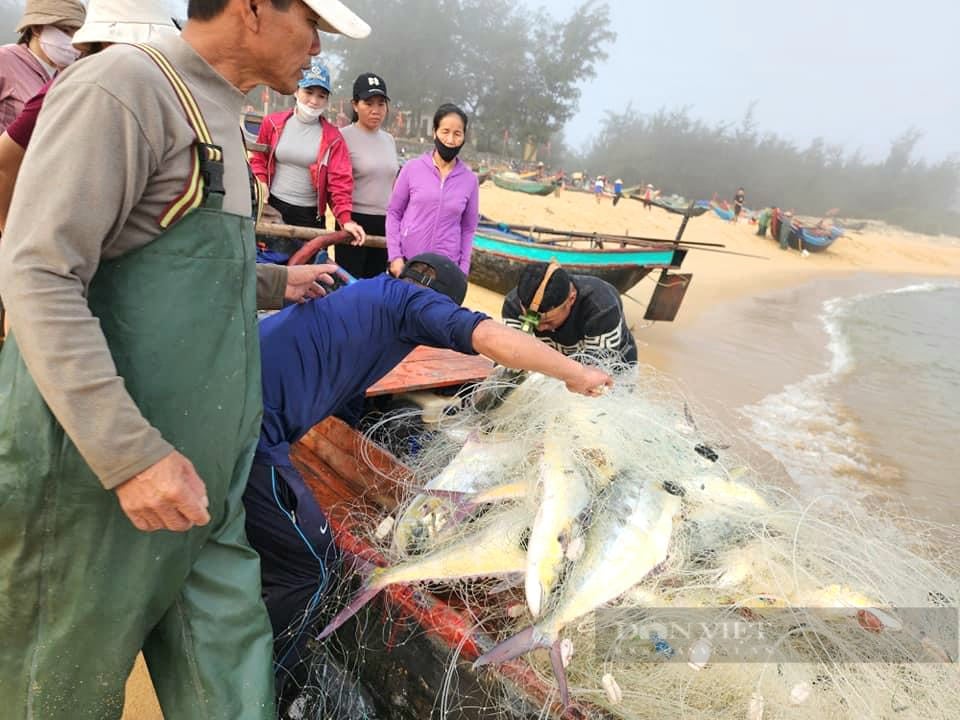 Ngư dân ở huyện có diện tích lớn thứ 3 cả nước đánh bắt được gần 12.000 tấn cá, tôm- Ảnh 1.