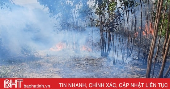 Le président du Comité populaire provincial a publié un télégramme pour renforcer les mesures urgentes de prévention et de lutte contre les incendies de forêt.