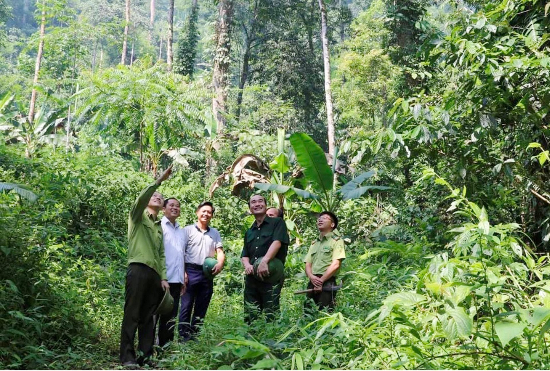 Lao Cai protects and develops forests towards carbon neutrality