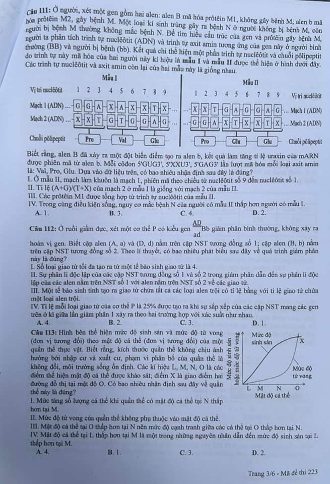 Thi tốt nghiệp THPT 2024: Đề chính thức môn sinh học- Ảnh 3.